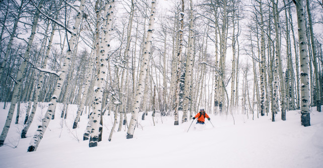 Skiing & Snowboarding