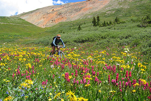 Mountain Biking