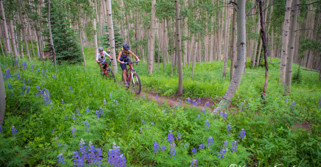 July is the time for Wildflowers in Crested Butte!