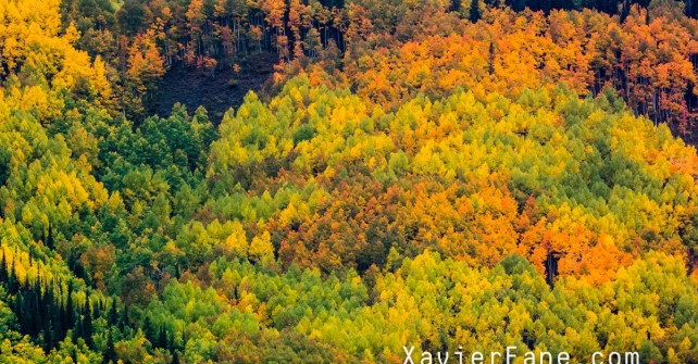 Fall Colors in Crested Butte