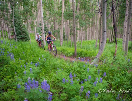 Elk Mountain Lodge in Conde Nest Traveler