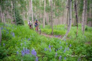 Crested Butte Lodging for Skiers and Mountain Bikers