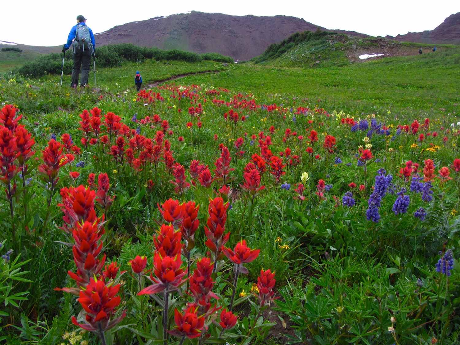 Crested Butte Guide Service