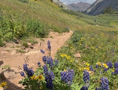 Hiking from Crested Butte to Aspen