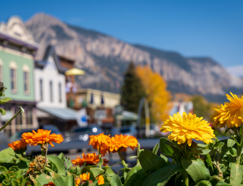 Crested Butte Arts Festival 2026