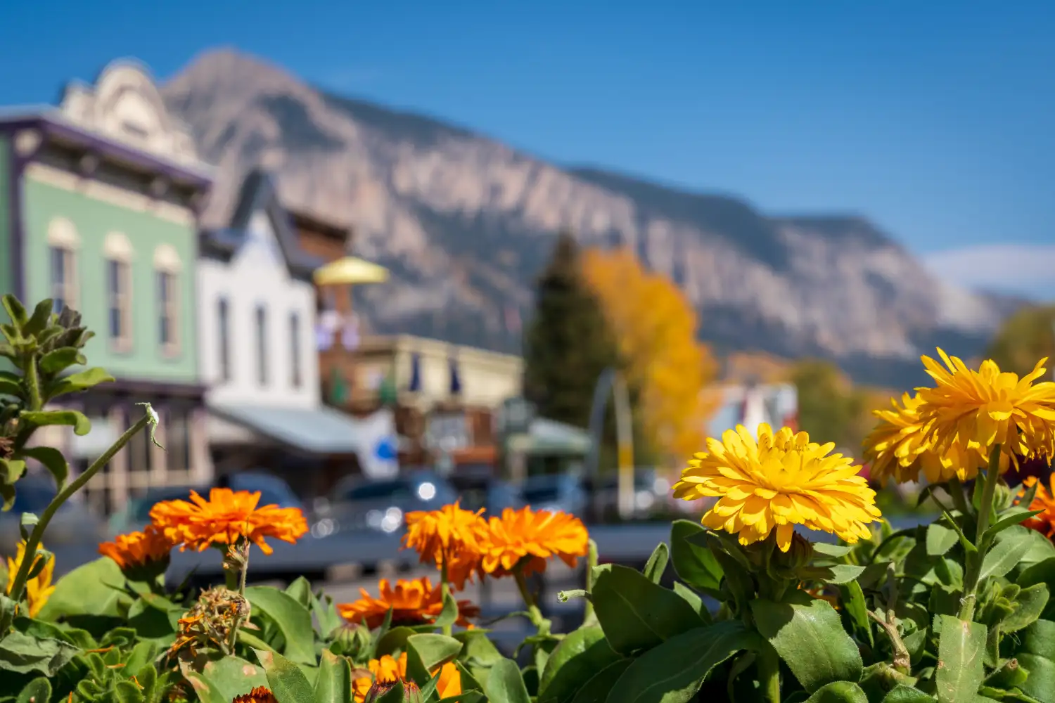 Crested Butte Lodging in the summer, Elk Mountain Lodge